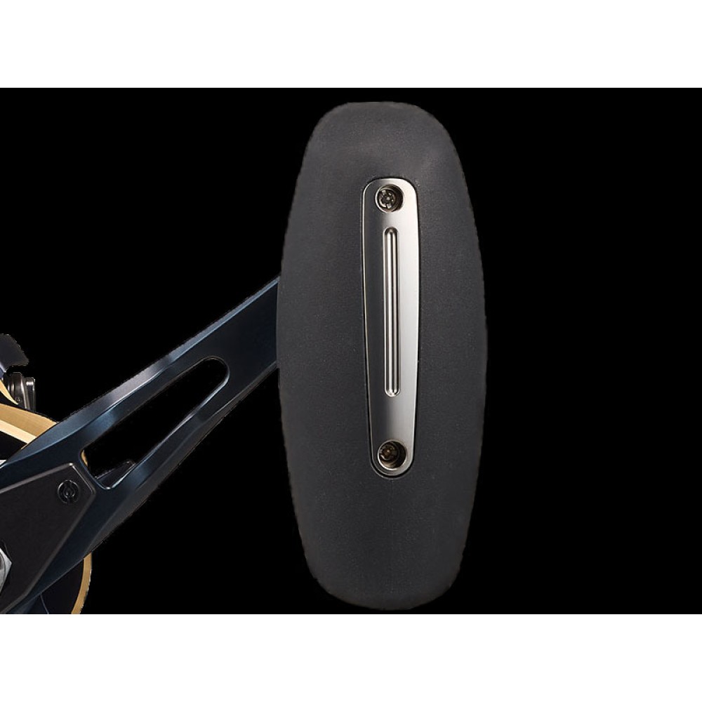 daiwa-saltiga-25-300-M6