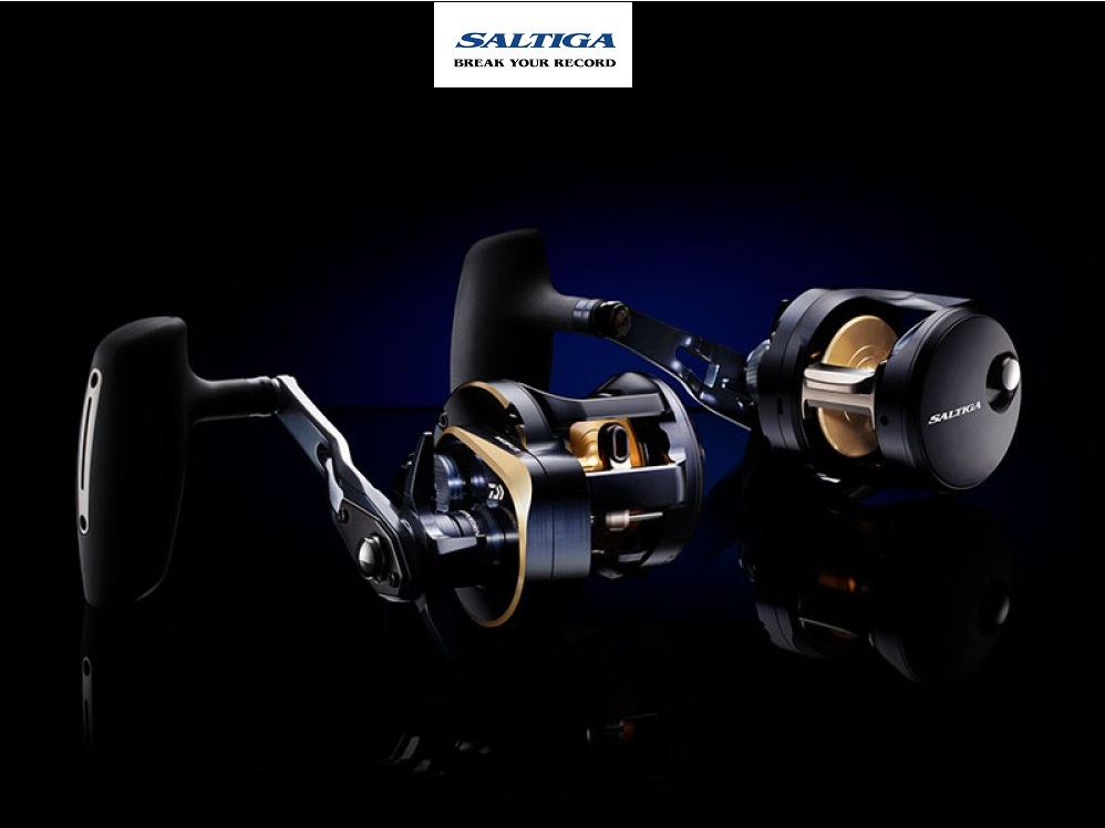 daiwa-saltiga-25-300H-MM-1