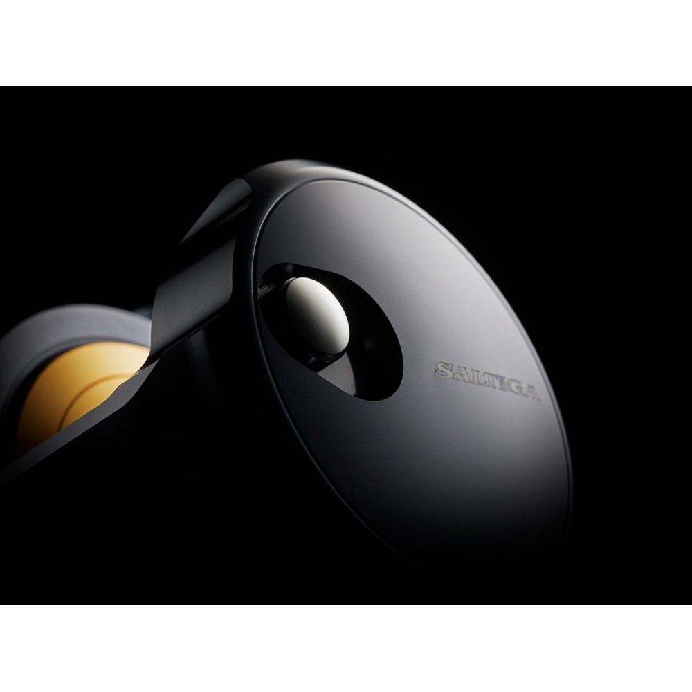 daiwa-saltiga-25G-35-m7