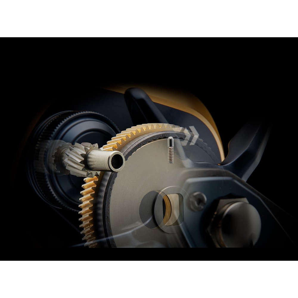 daiwa-saltiga-25G-35-s1